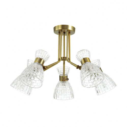 ARv21co93FcW5vTz2M2B