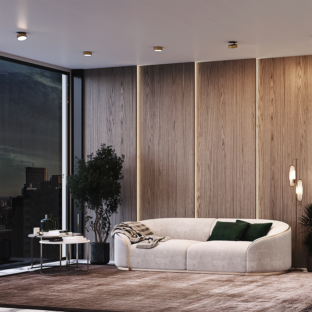 interior_DL024-12W4K-W_standard
