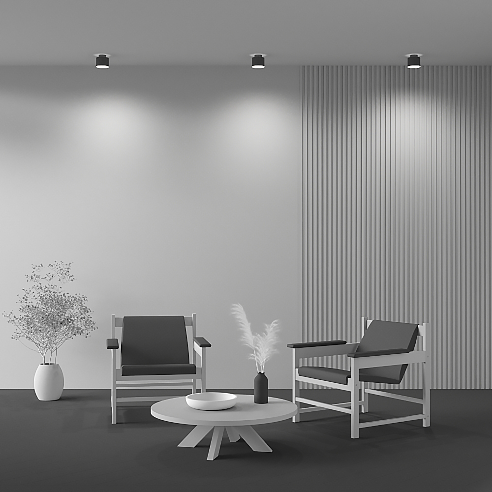 How_it_shines_C009CW-L12B4K_standard