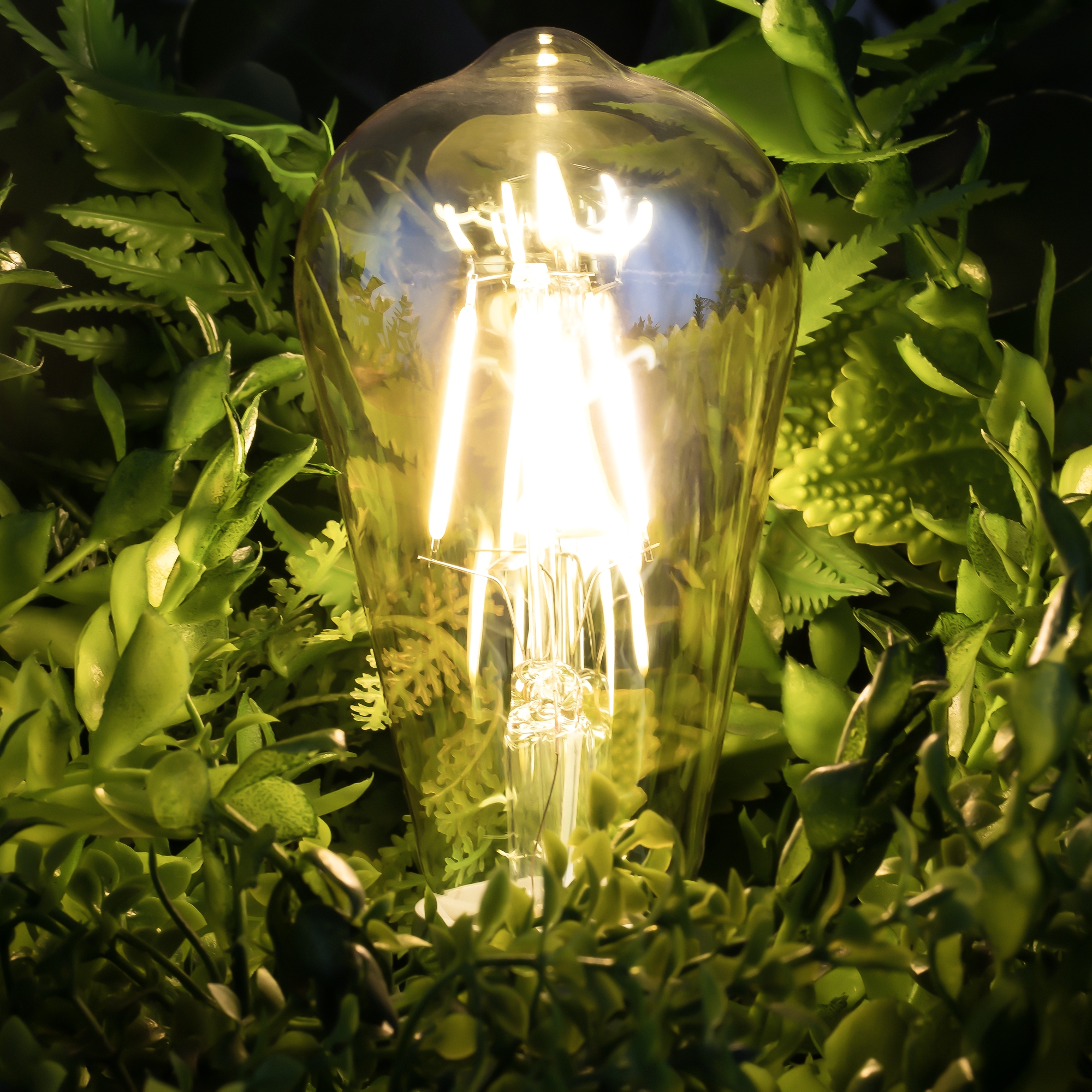 interior_5526_standard