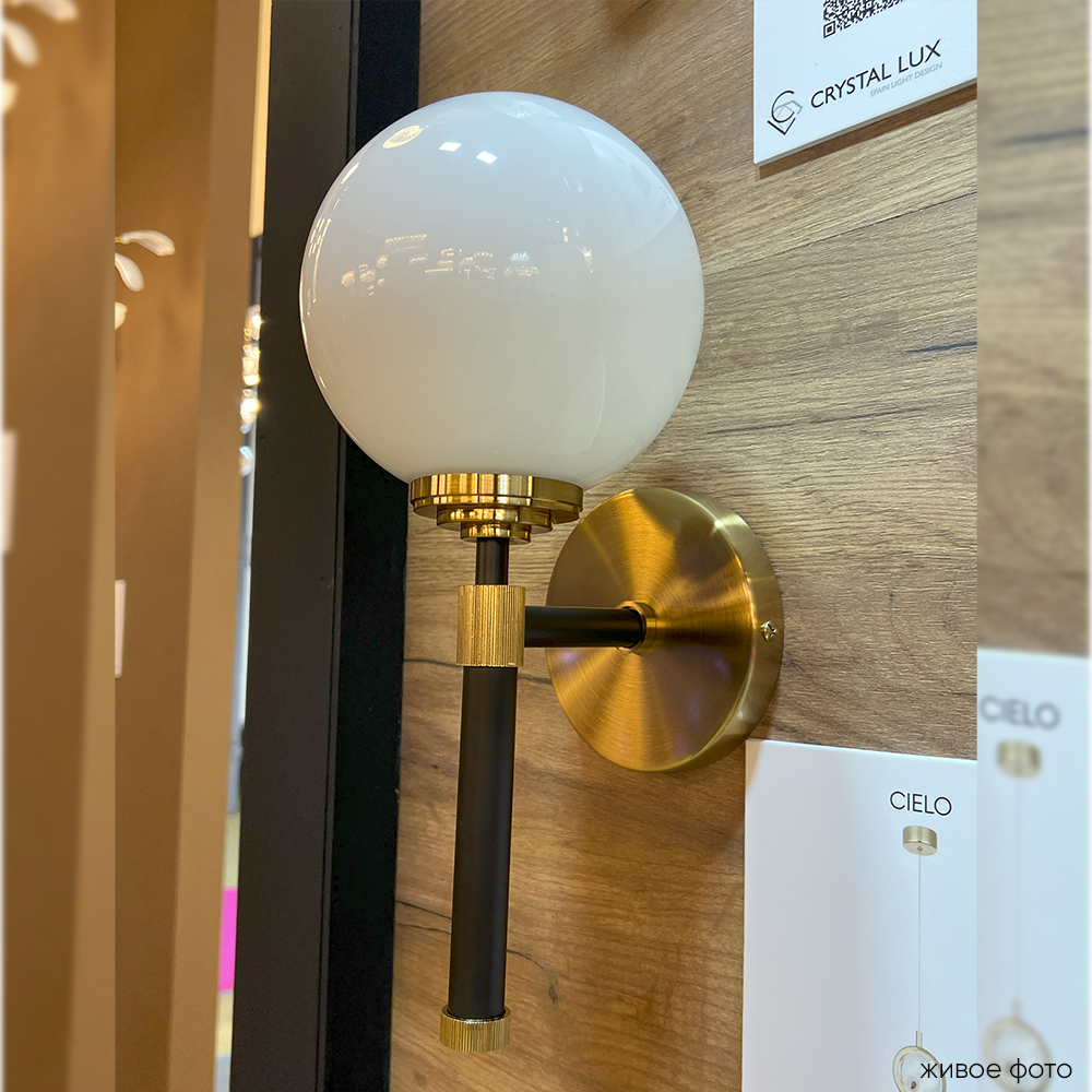 SOPHIA_AP1_livephoto