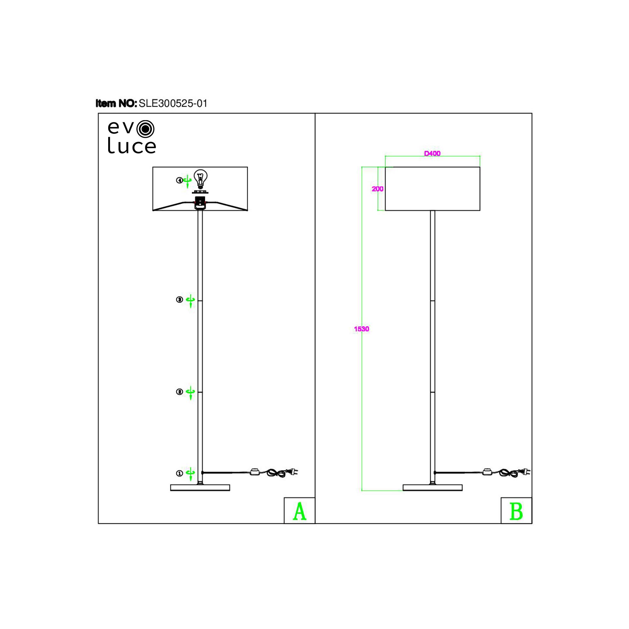 SLE300555-01_X01