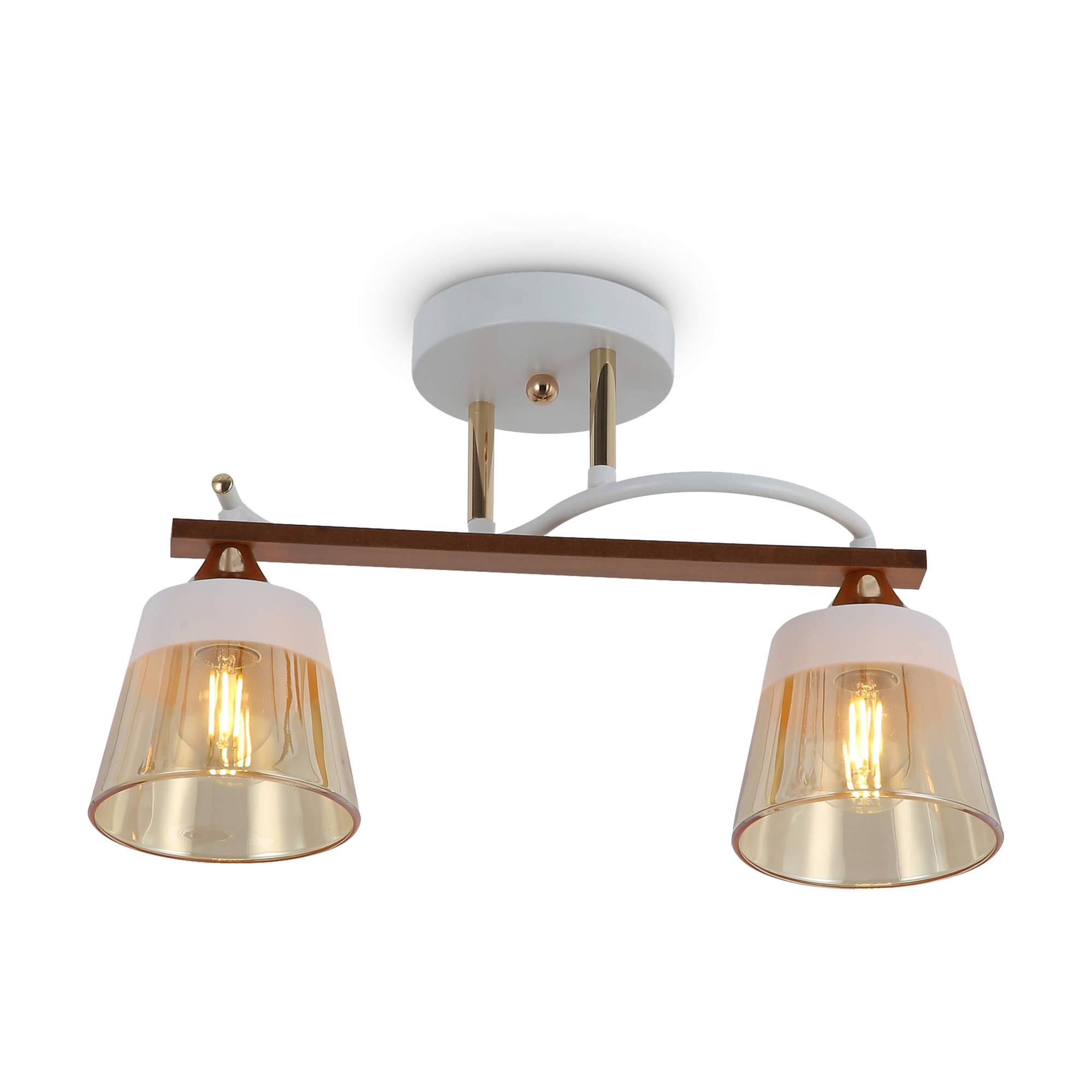 PHOTO_FR5156PL-02WG_on_w_standard