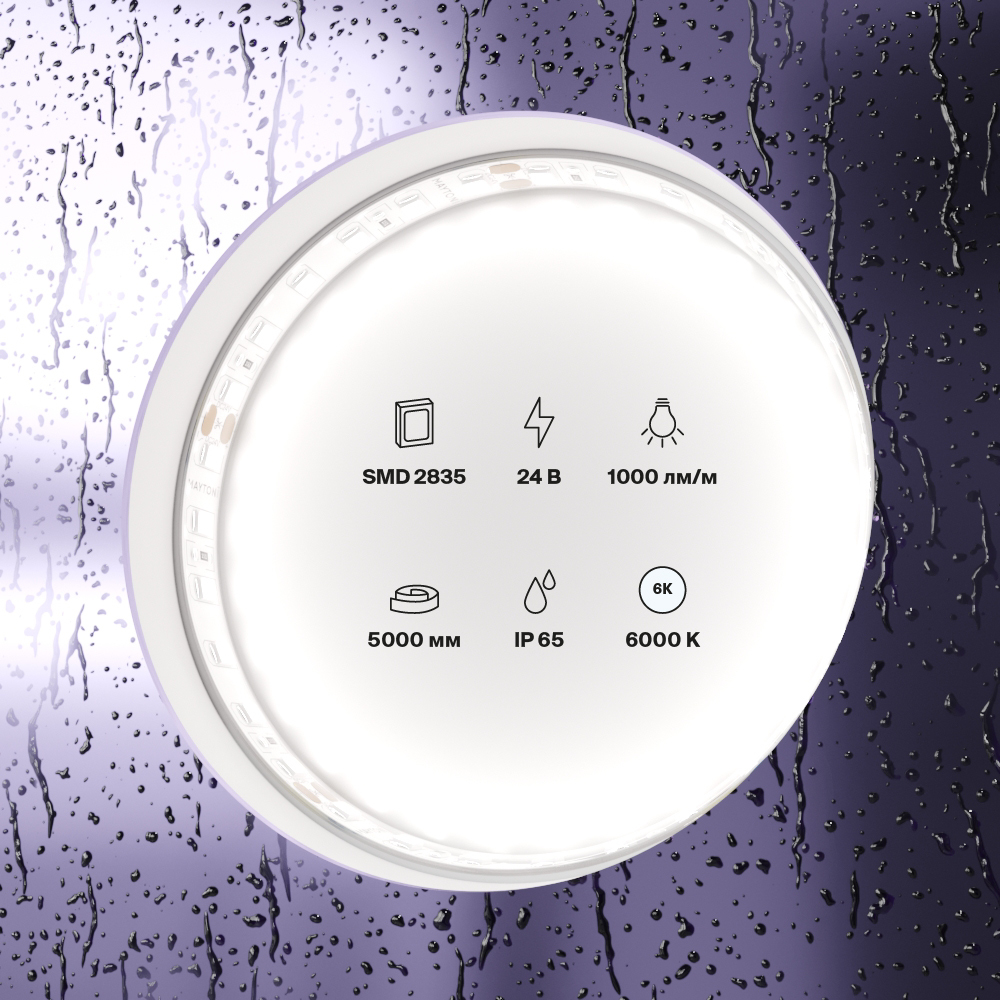 element_10147_w_standard_(2)
