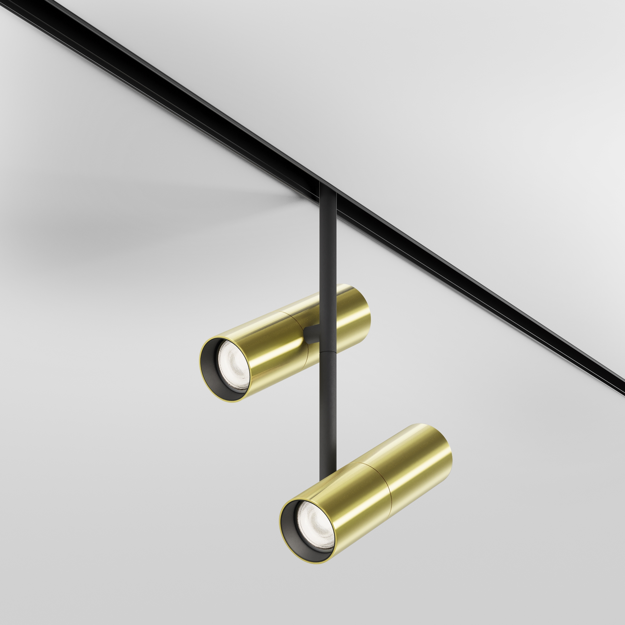 RENDER_Main_Image_TR005-2-2X12W4K-BBS_standard