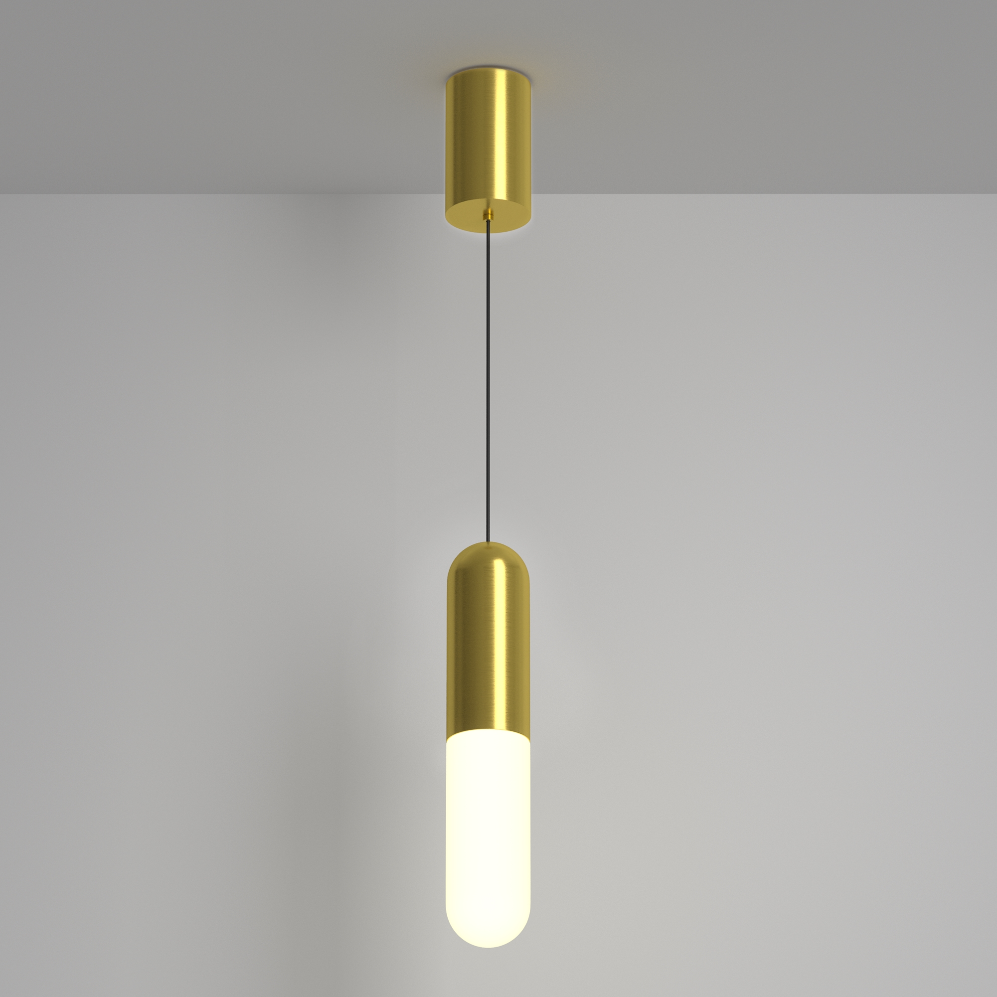 RENDER_Main_Image_P101PL-L300-12W3K-BS_standard RENDER_Main_Image_P101PL-L300-12W3K-BS_standard