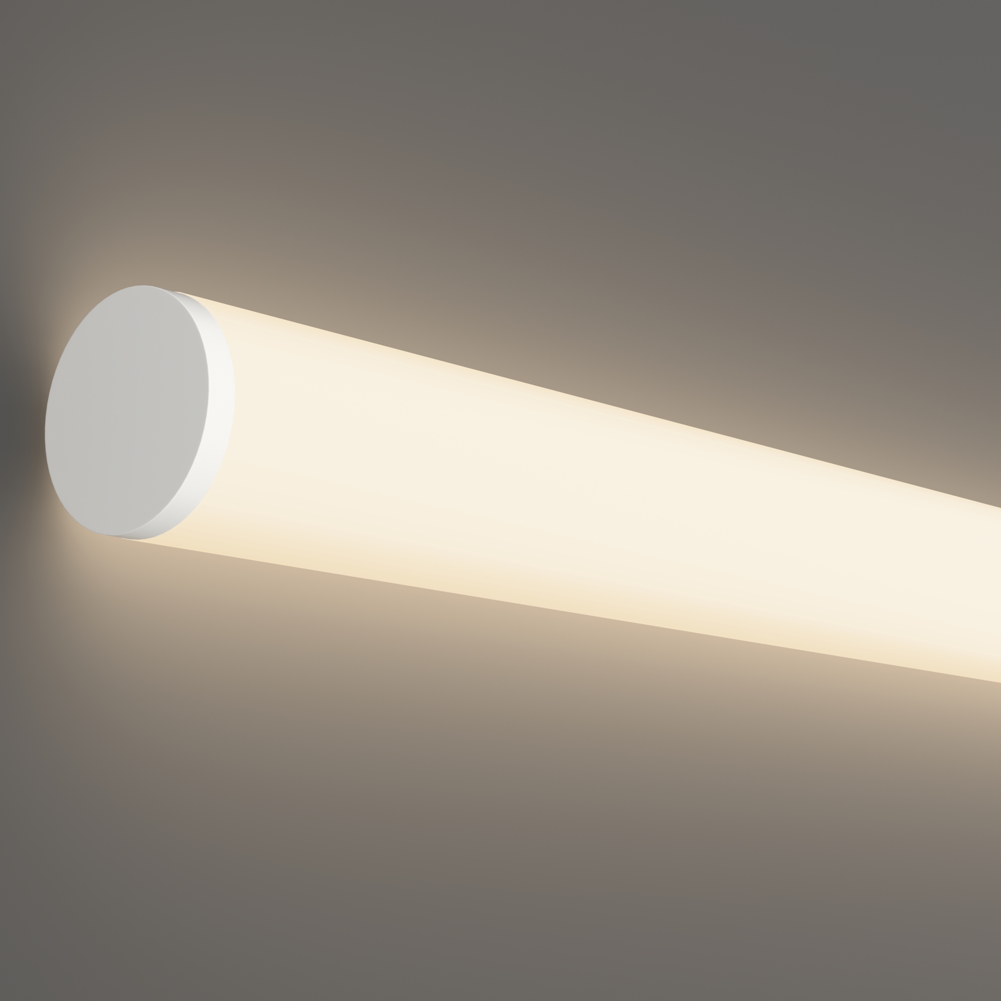 RENDER_element_20307_w_standard