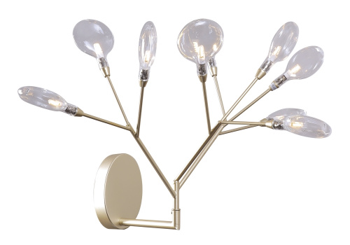 EVITA_AP9_GOLD_TRANSPARENT