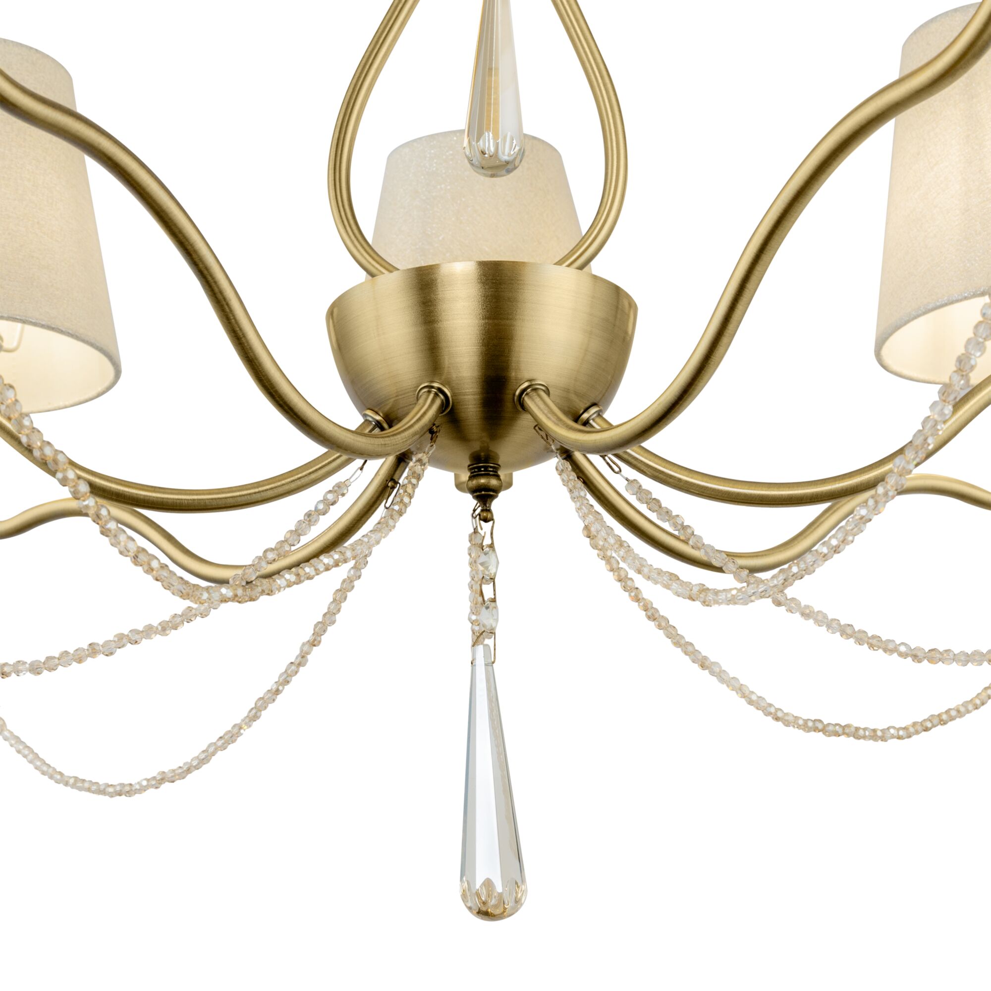 element_FR2019PL-07BS_w_(2)