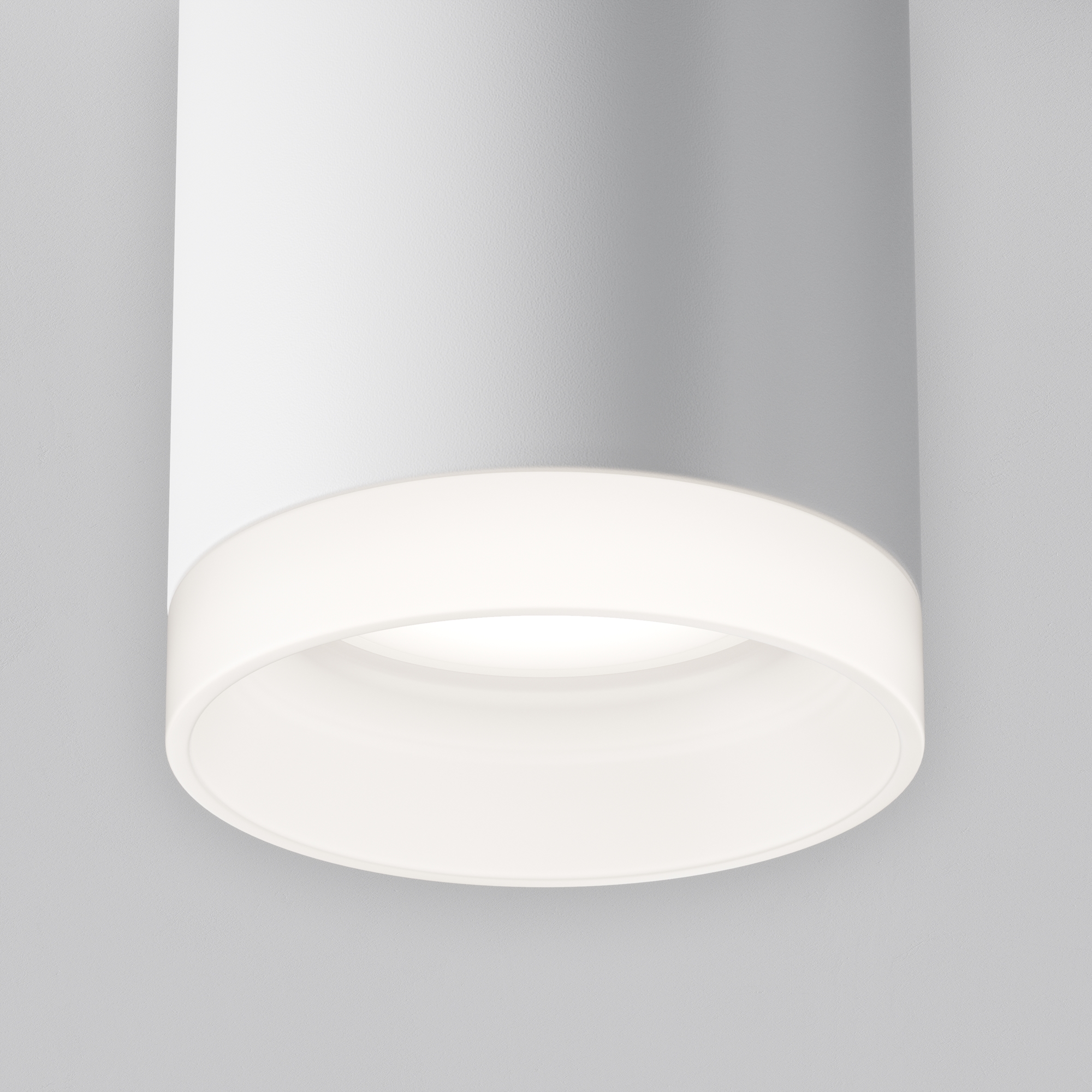 element_C008CW-01W_w_standard