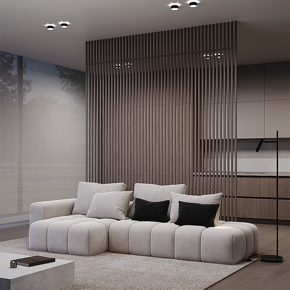 interior_DL062-GU10-B_standard