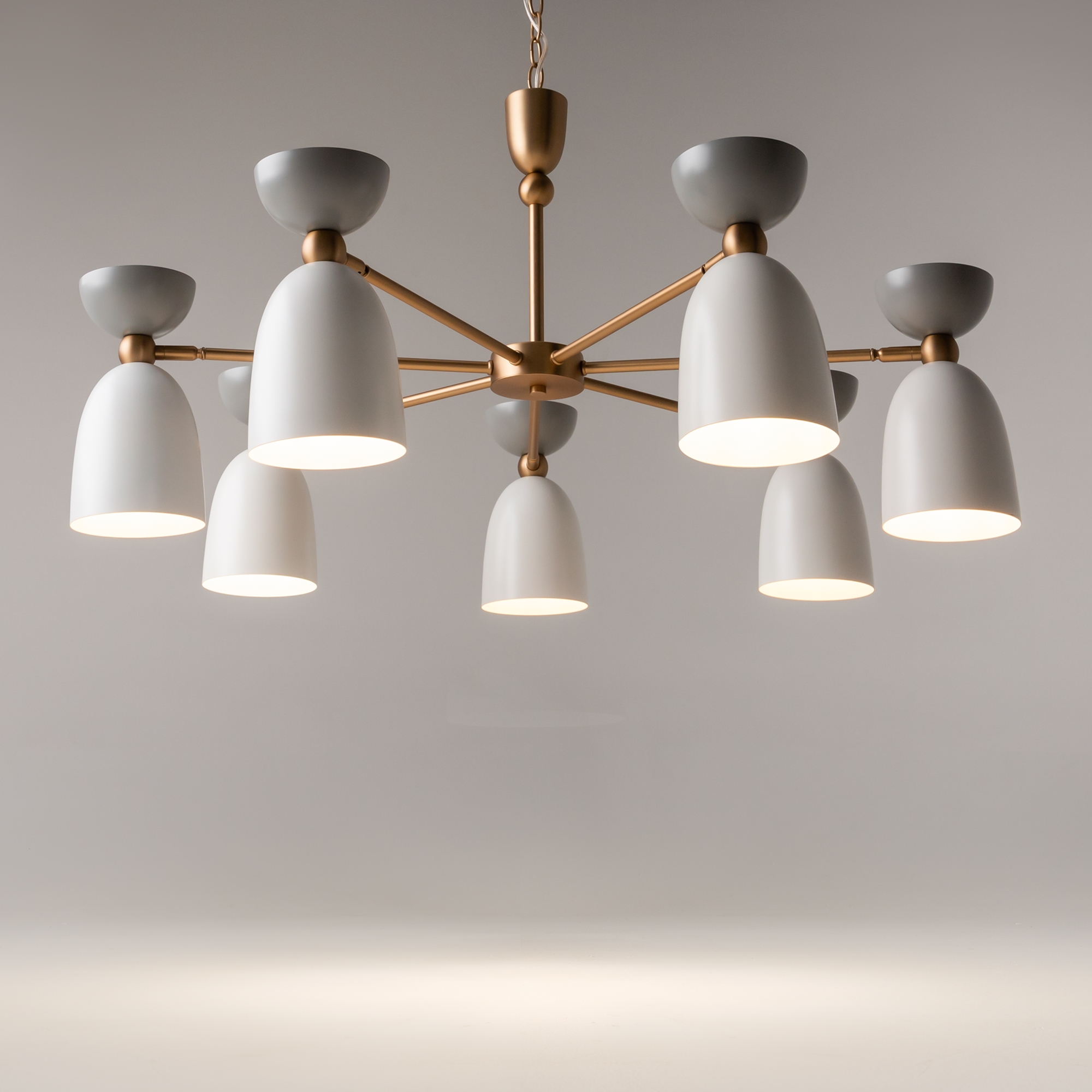 PHOTO_Additional_perspective_MOD113PL-07W_standard