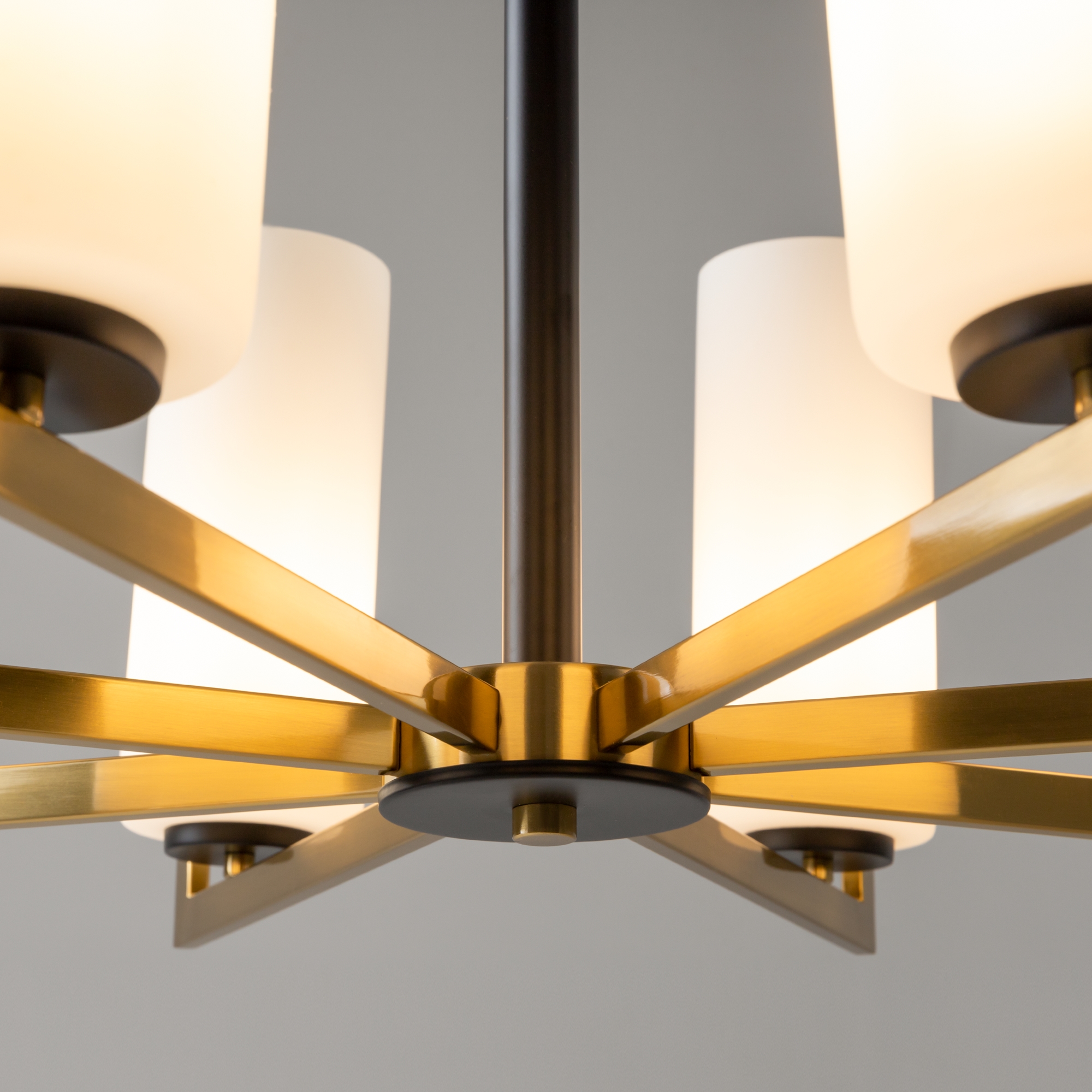 PHOTO_element_MOD089PL-08BS_w_standard