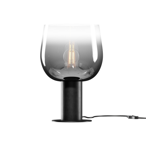 RENDER_MOD414TL-01B_on_w_standard