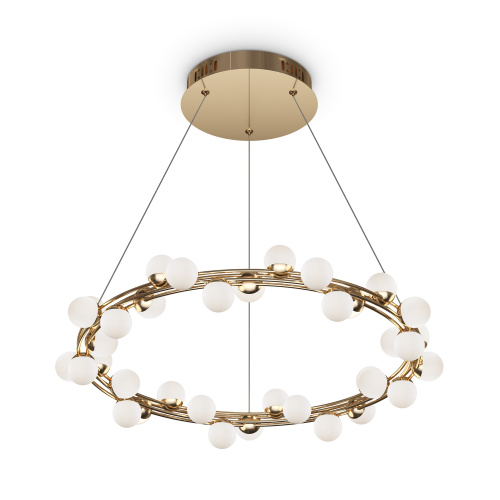 MOD081PL-L50G3K_on_w_standard