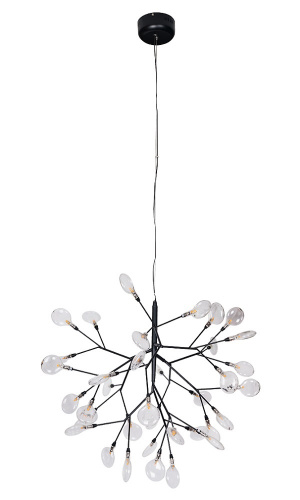 EVITA_SP36_BLACK_TRANSPARENT