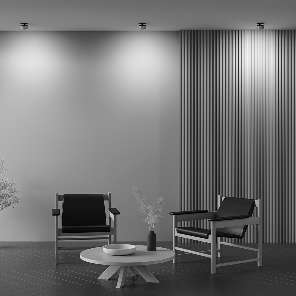 How_it_shines_DL024-12W4K-BMG_standard