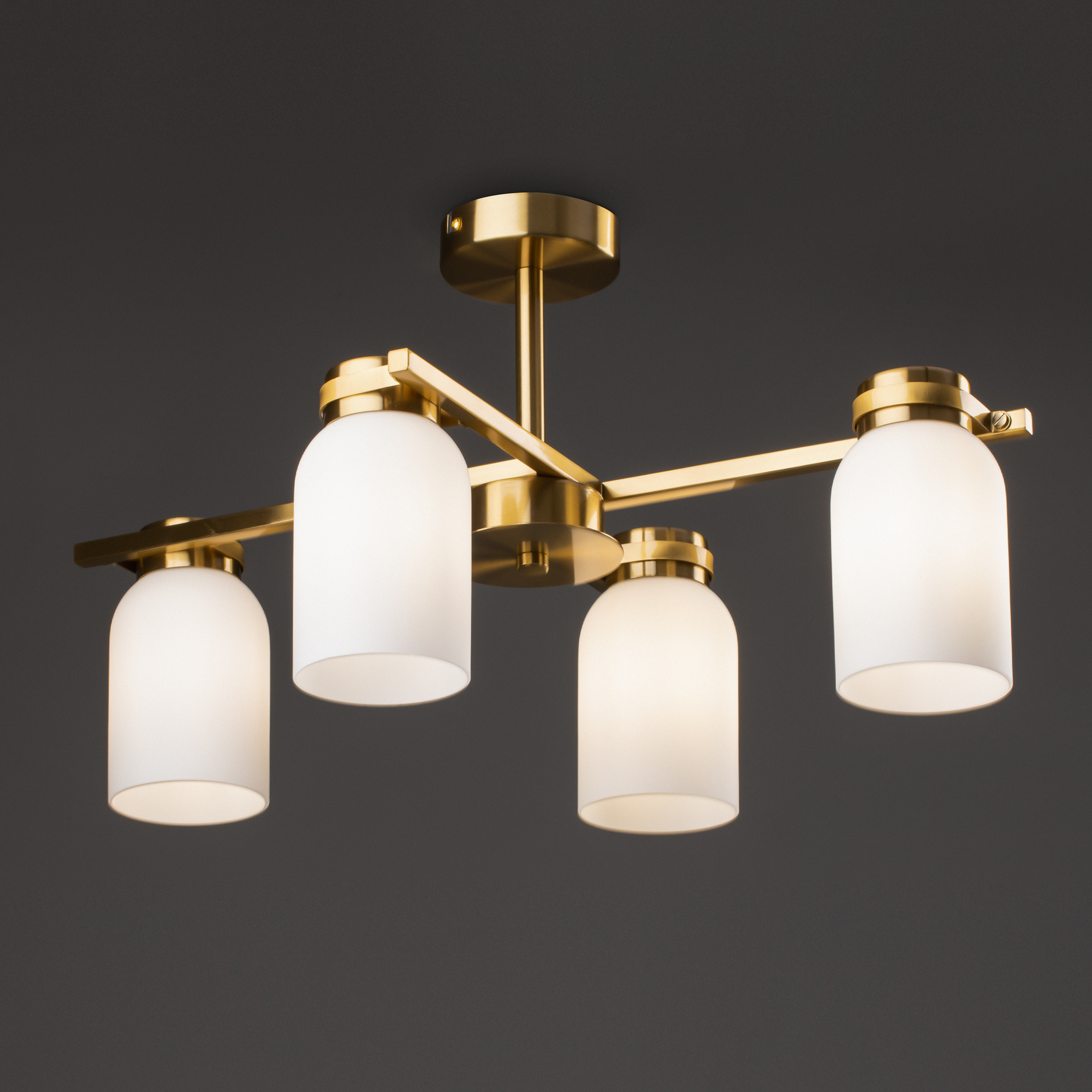 Image_photo №1_FR5446PL-04BS1_standard