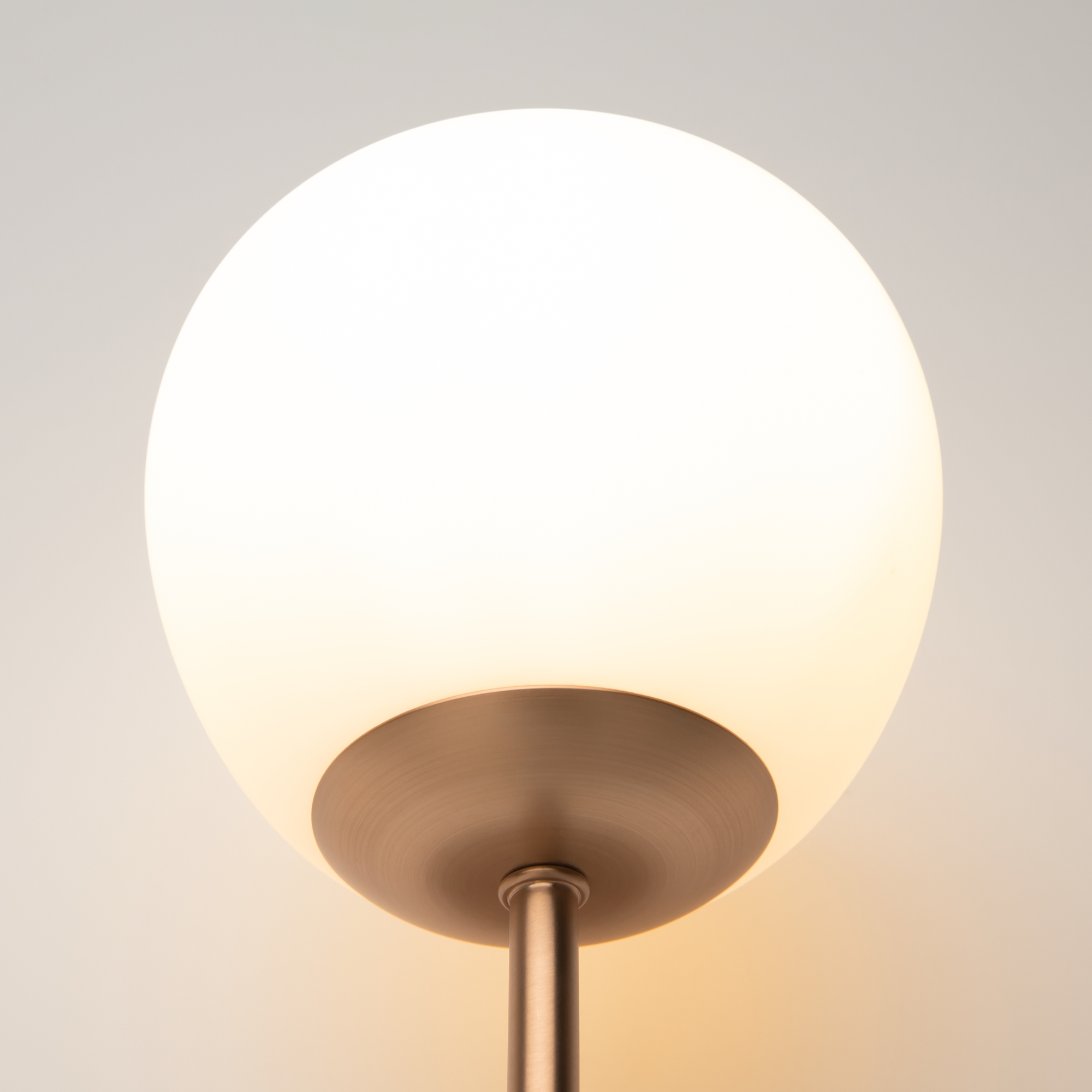 PHOTO_element_MOD221-WL-01-G_w_standard