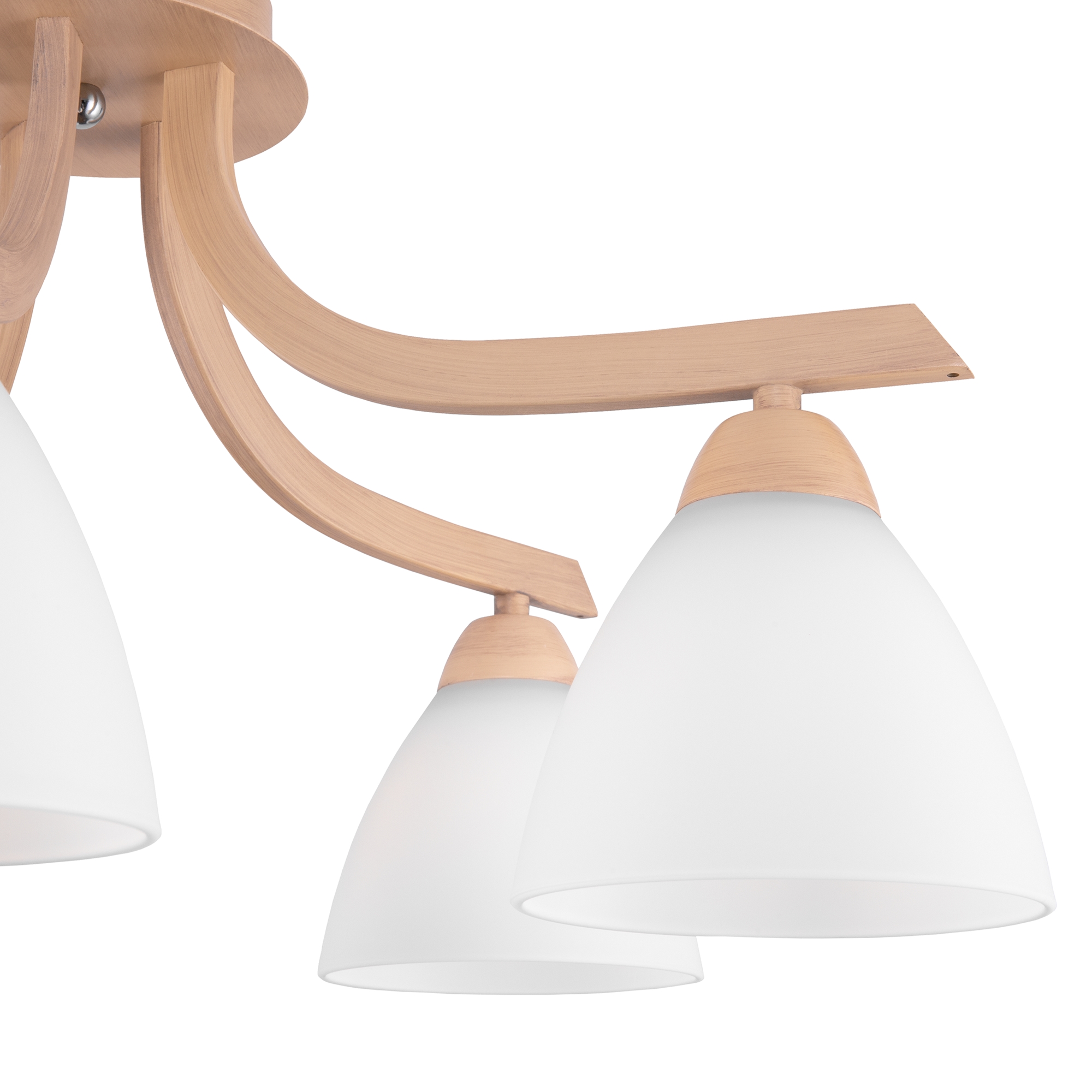 element_FR5058PL-05BG_w_(2)