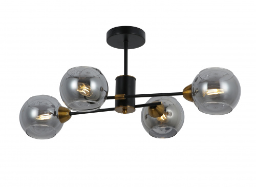 PHOTO_FR5155PL-04B_on_w_standard