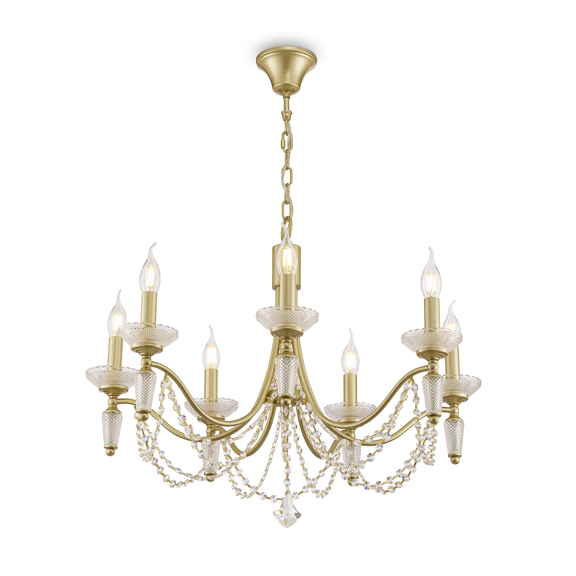 PHOTO_FR2009PL-07G_on_w_standard