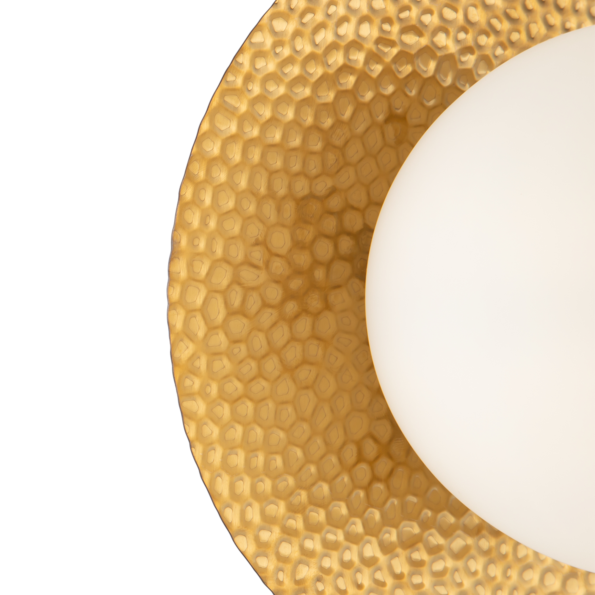 element_FR5202WL-01BS_w