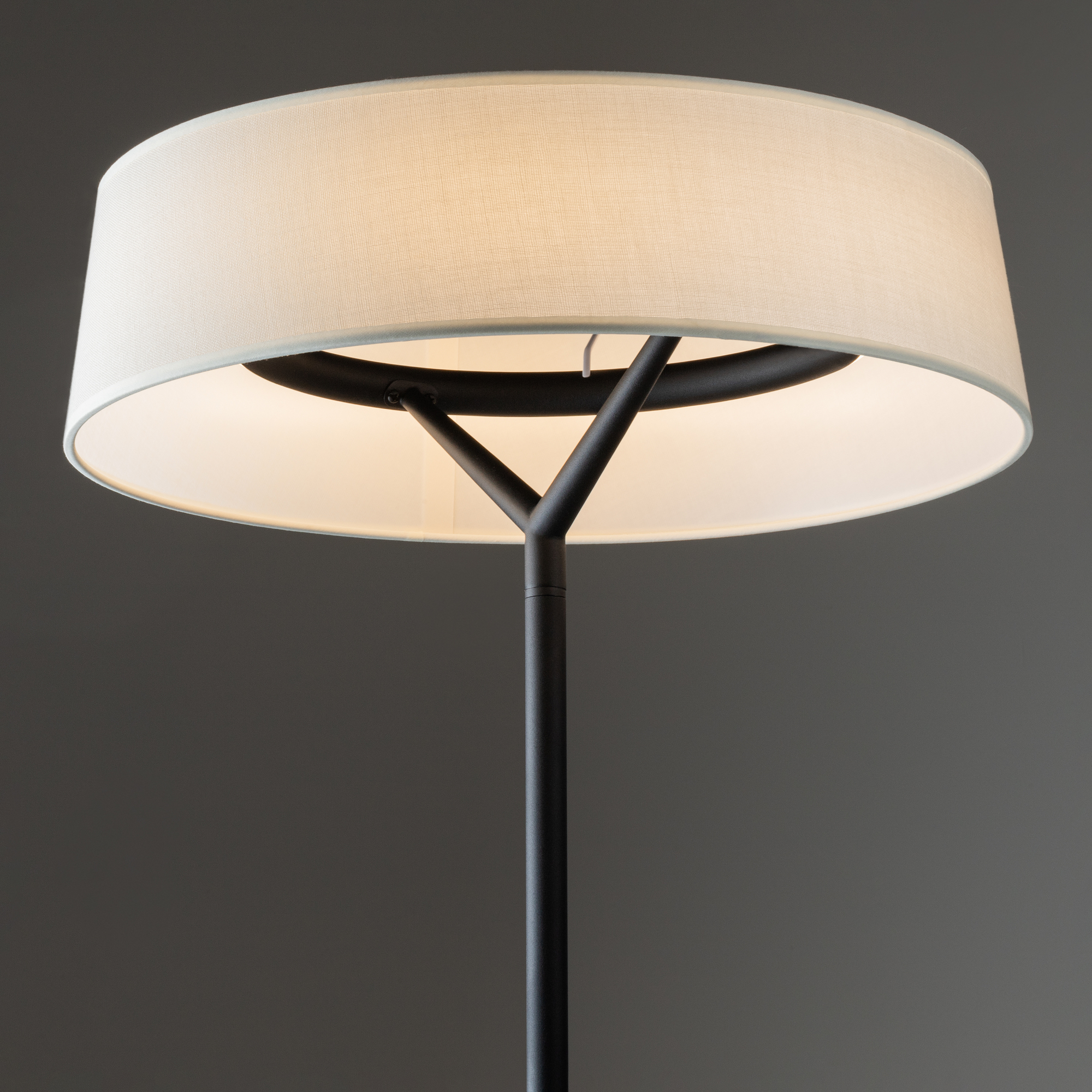 Image_photo №1_FR6132FL-L15B_standard