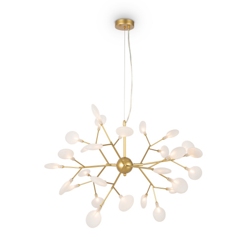 FR5049PL-27G_on_w_standard