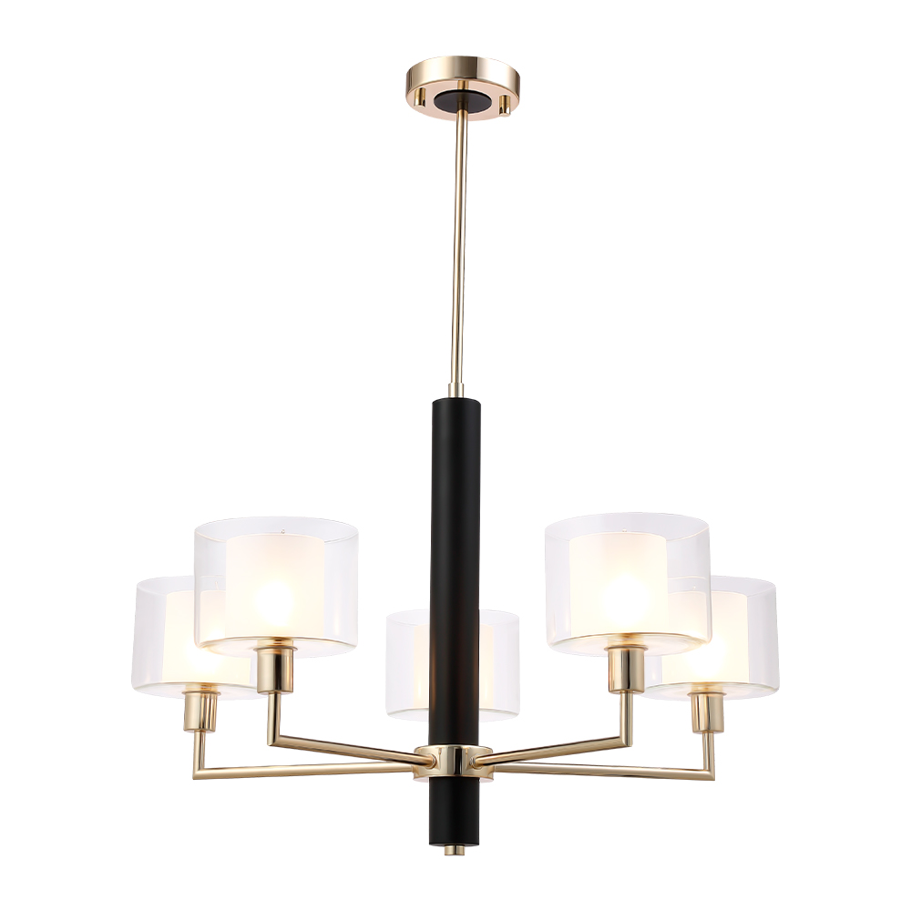 MAESTRO_SP-PL5_GOLD_2