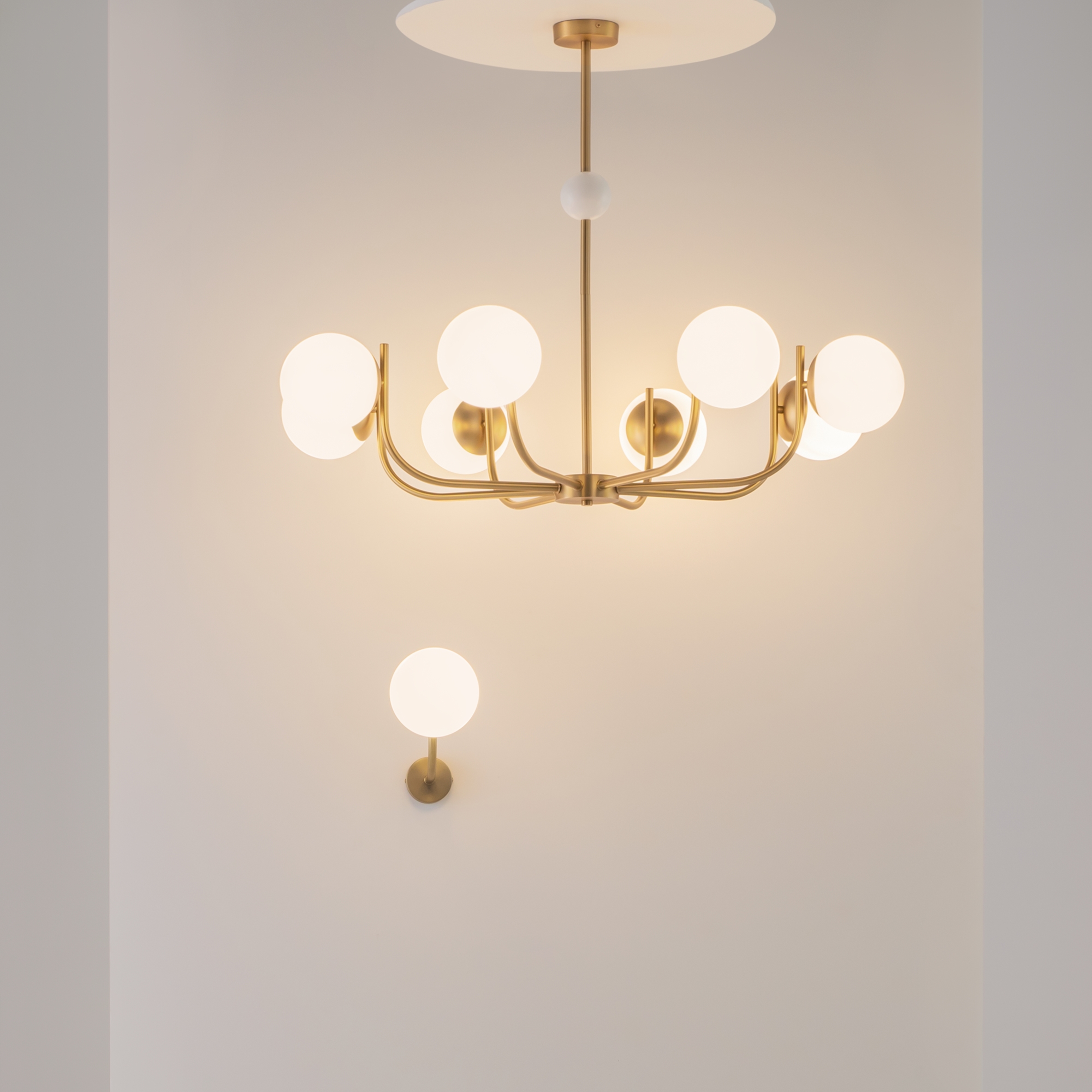 PHOTO_composition_MOD109WL-01BS_standard