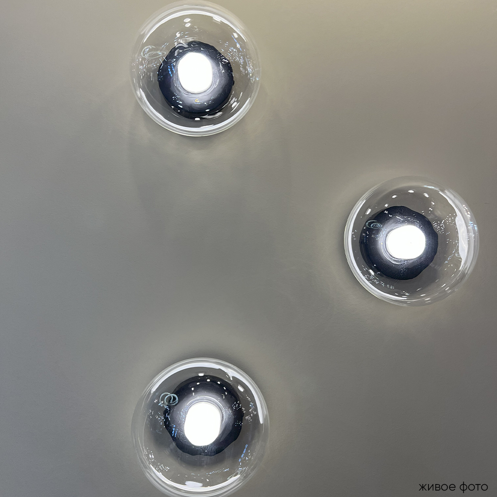 BOSQUE_AP1_BLACK_TRANSPARENT_livephoto_2