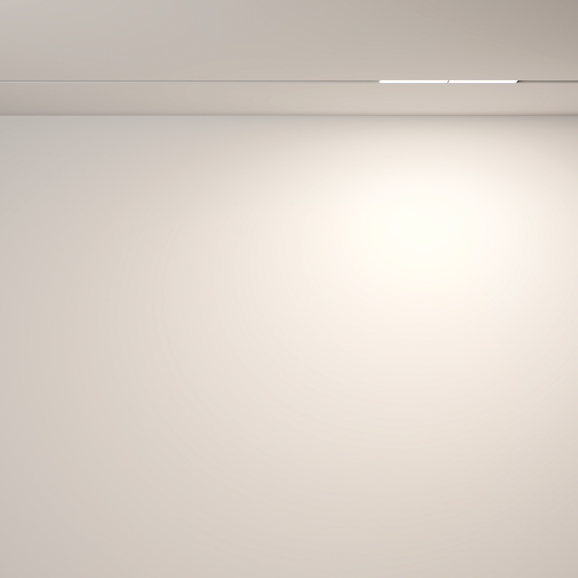 RENDER_Additional_perspective_CMYK_TR106-4-12W-DS-W_standard