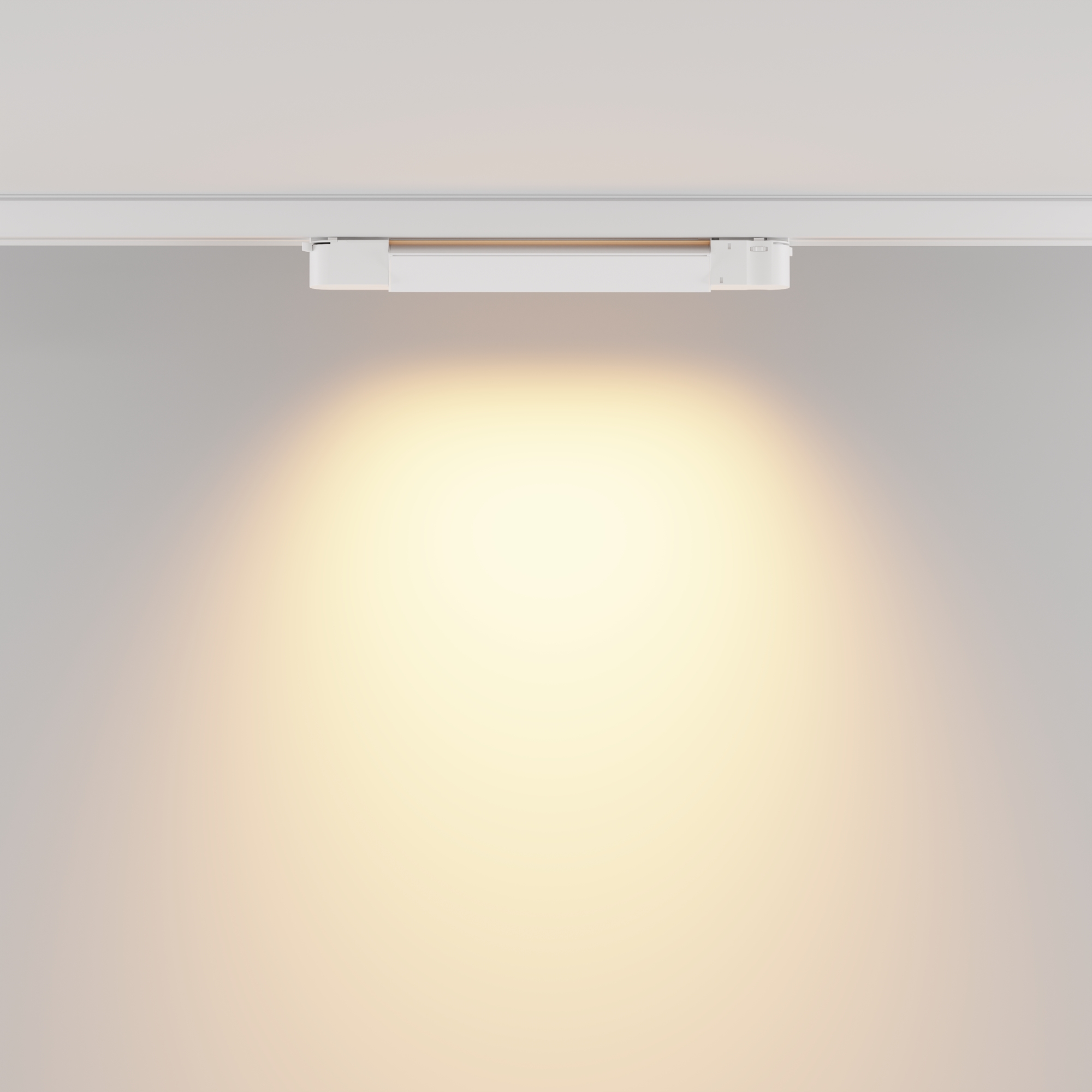 RENDER_Additional_perspective_TR196-3-10W2