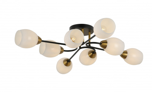 FR5240CL-08B_on_w_standard