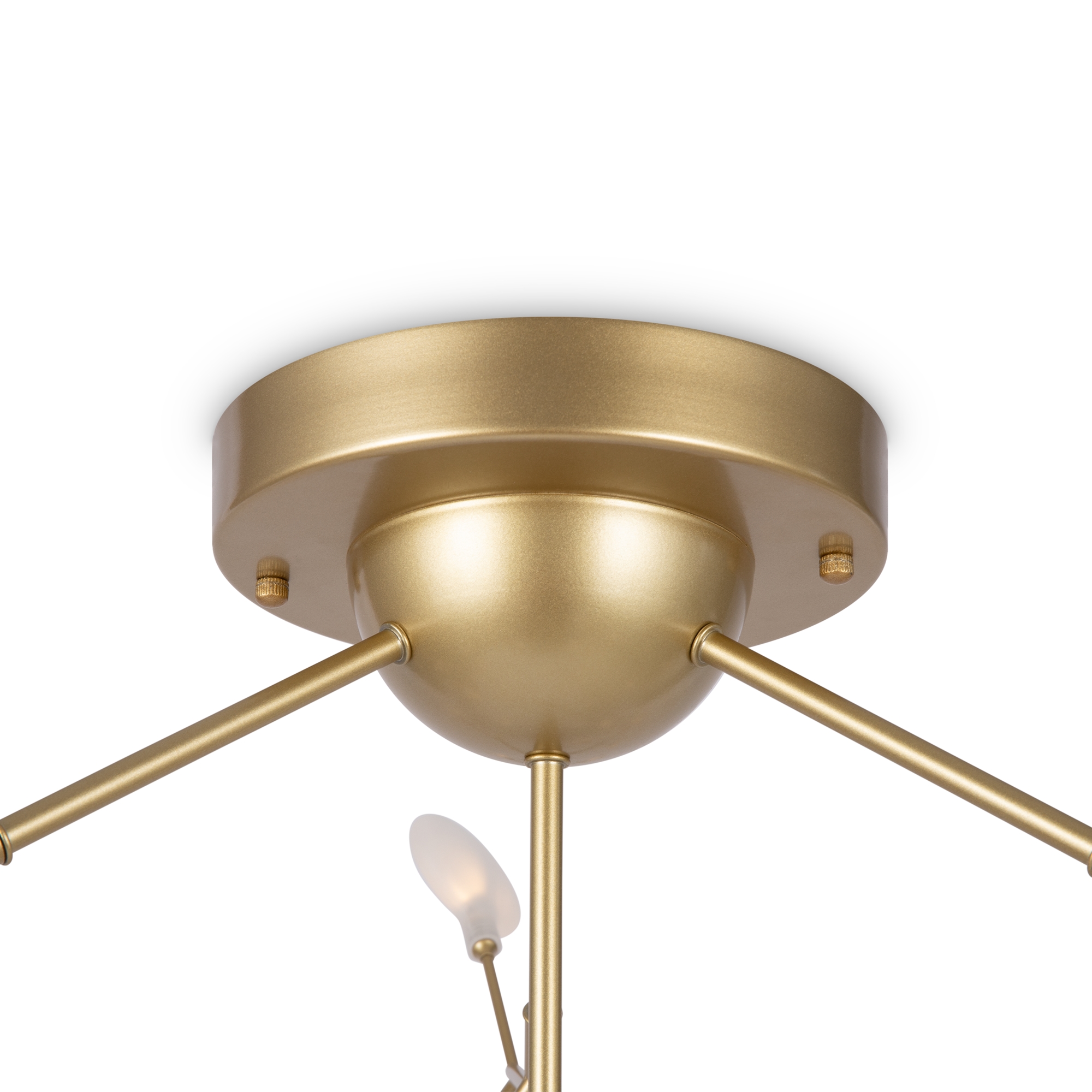 element_FR5049CL-36G_w_standard element_FR5049CL-36G_w_standard