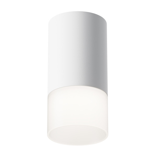 C007CW-01W_on_w_standard