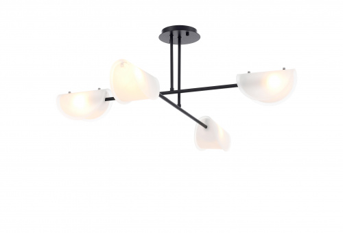 FR5228PL-04B_on_w_standard