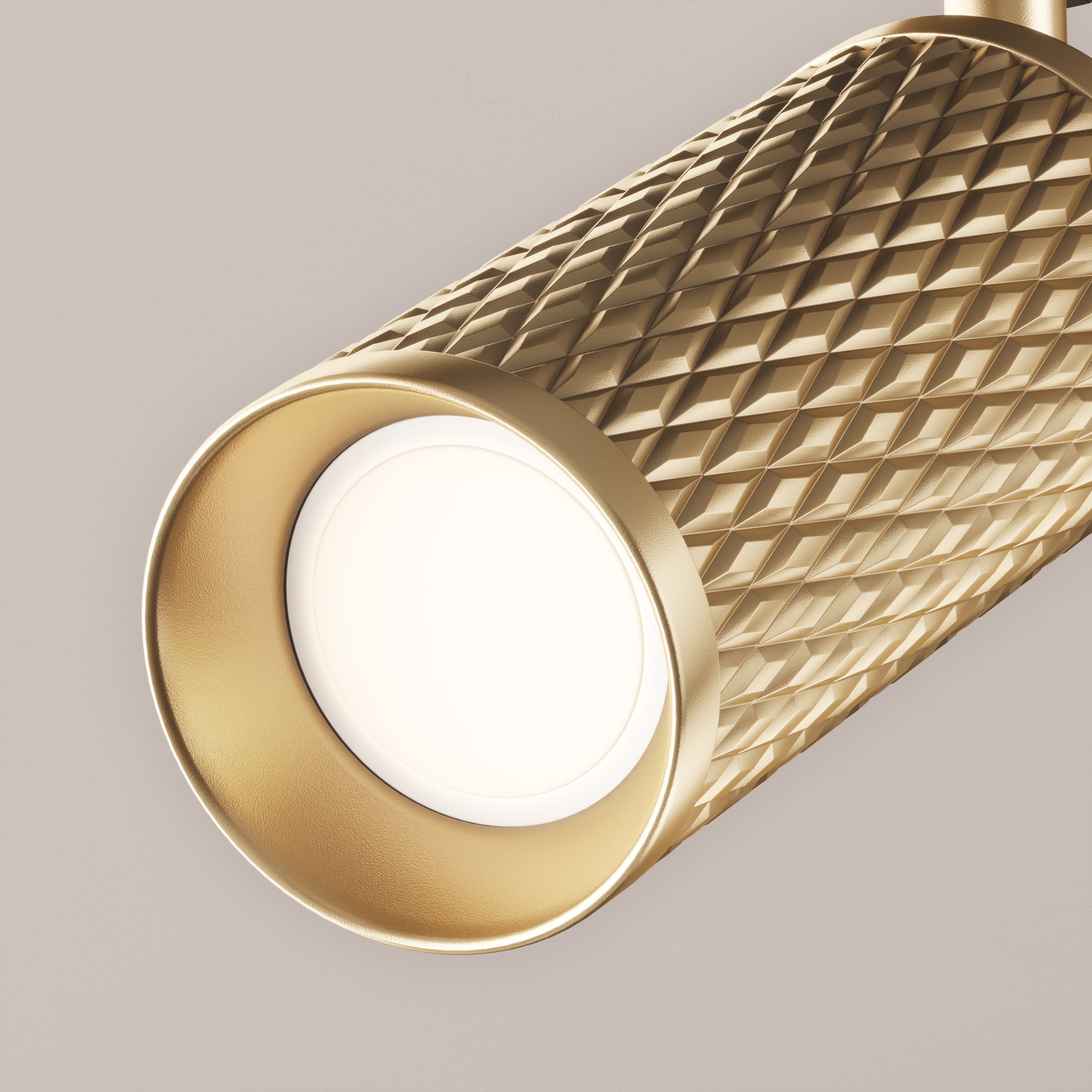 RENDER_CMYK_TR011-1-GU10-G_w_standard