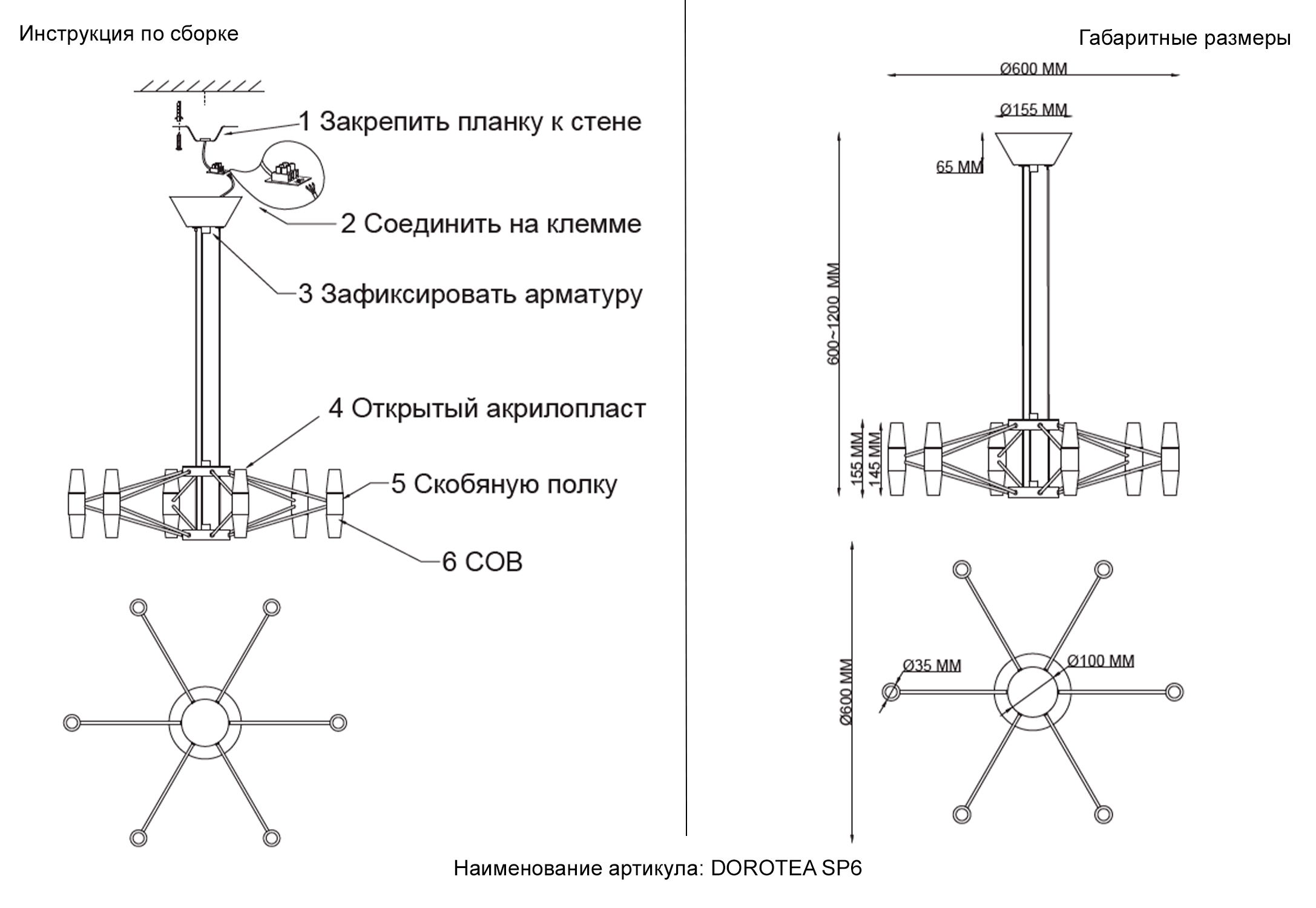 DOROTEA_SP6