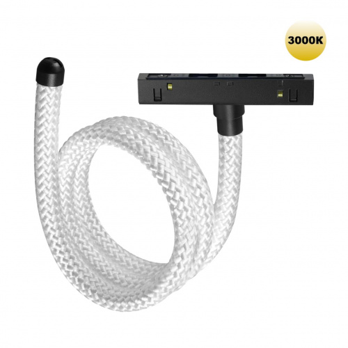 975571caec757a4375a8876f458861a2