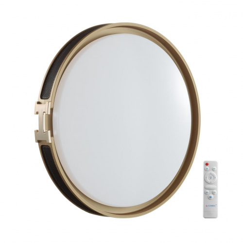 019d2c289b7d61a32d48f7f94db0a236