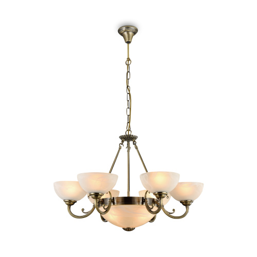 PHOTO_FR2012-PL-09-BZ_on_w_standard