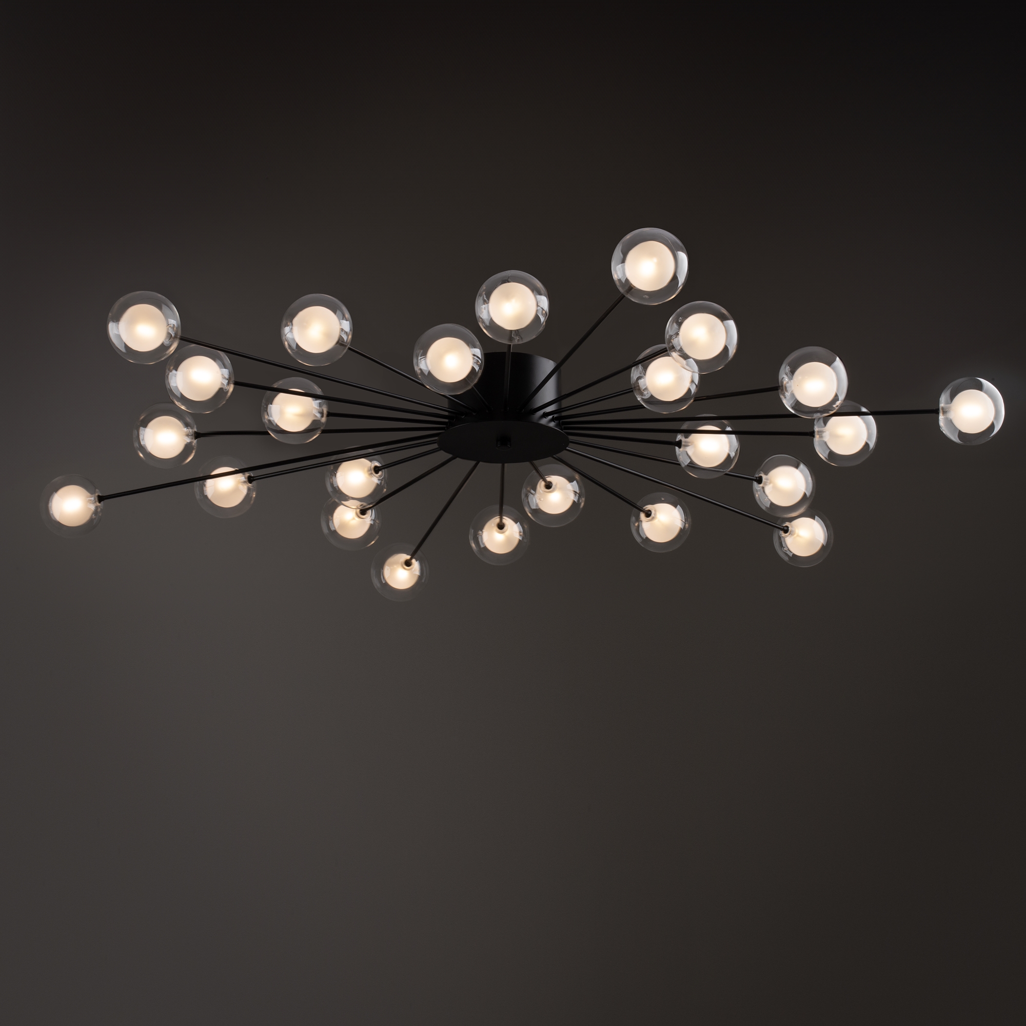 Image_photo №1_FR5242CL-24B1_standard