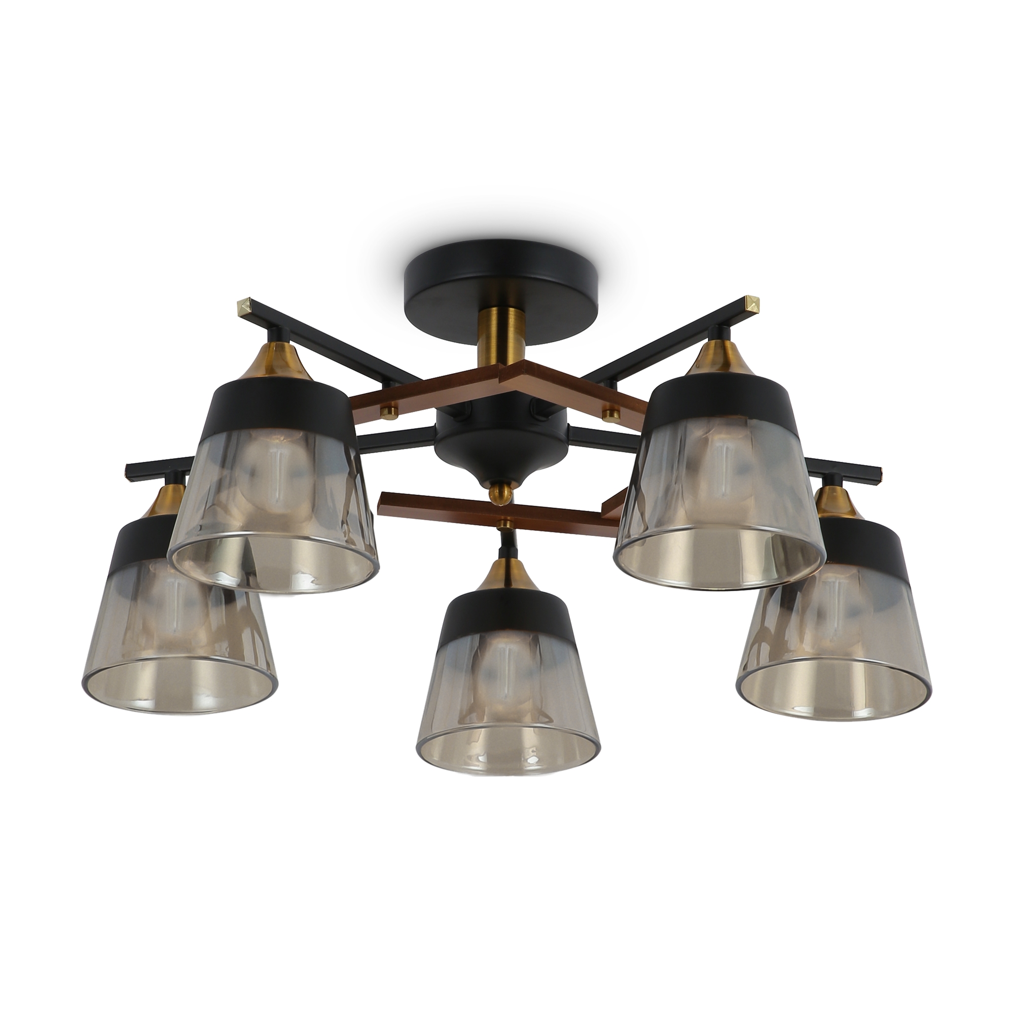 PHOTO_FR5153PL-05B_on_w_standard_(1)