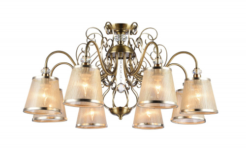 FR2405-PL-08-BZ_on_w_(1)