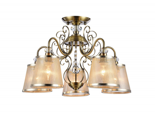 FR2405-PL-05-BZ_on_w_(1)