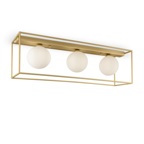 FR5113CL-03G_on_w_(1)