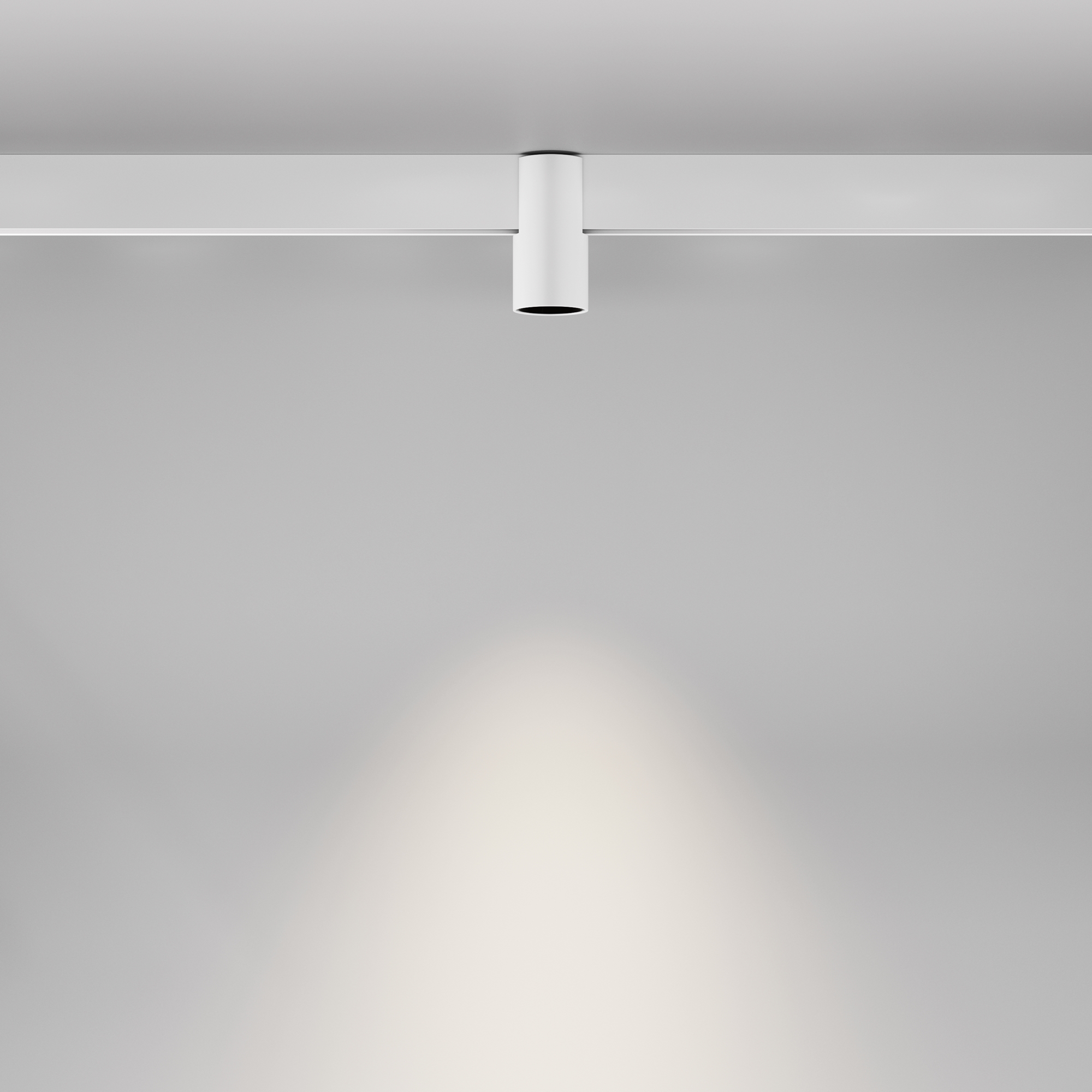 RENDER_Additional_perspective_TR122-2-7W4K-W_standard