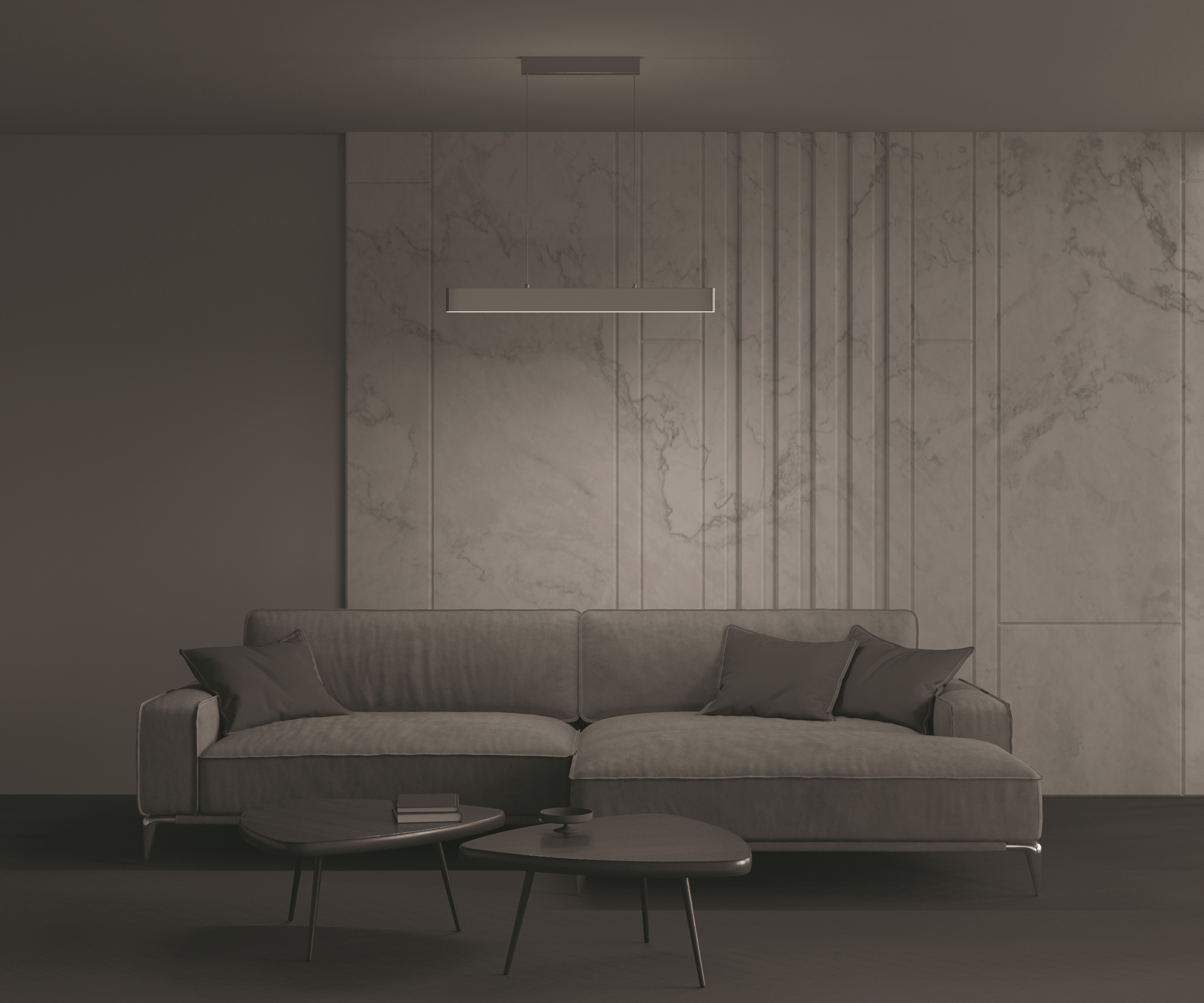 how_shines_CMYK_P010PL-L23G4K_standard